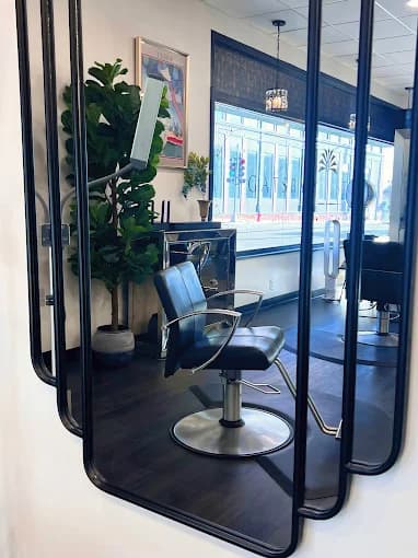 Color Rebel hair work